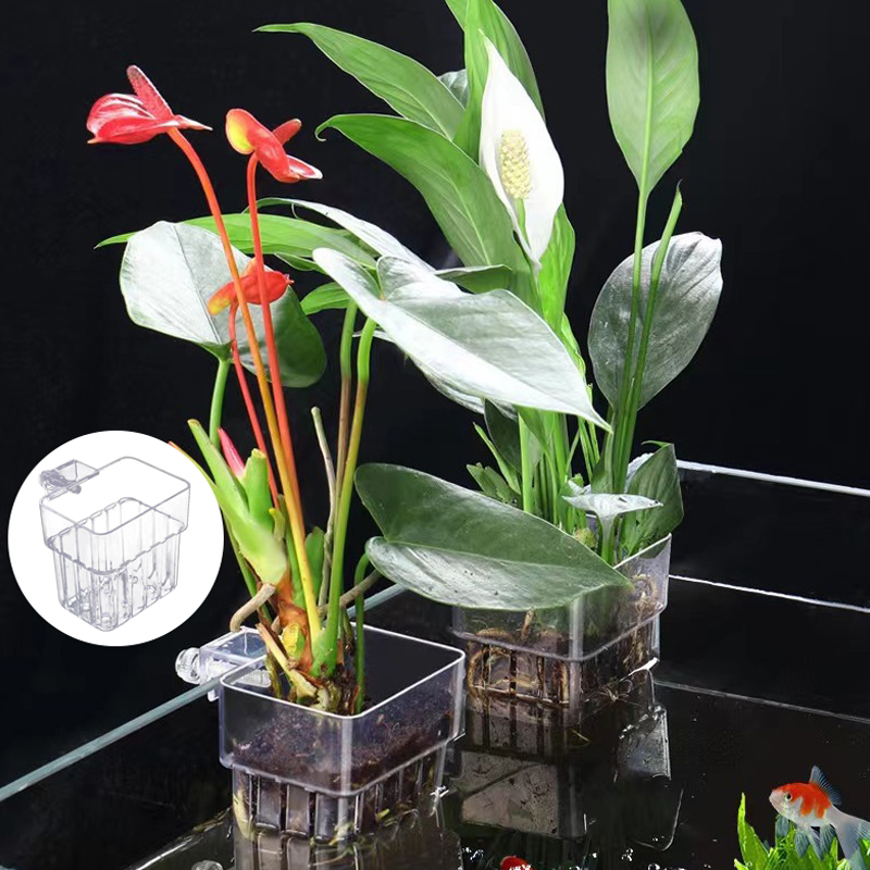 Multifunzionale Fish Aquarium  - Aquarium Planted Fish Tank recensione e prezzo