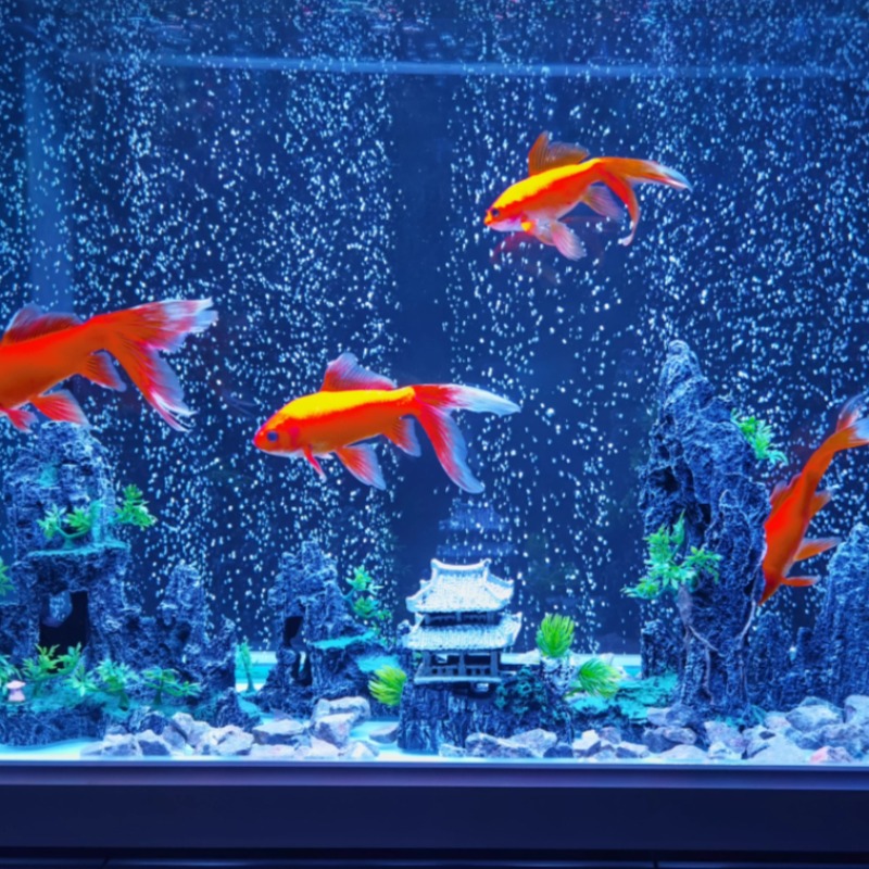 Set di Decorazioni per Acquari - Aquarium Plant Root Tabs recensione e prezzo