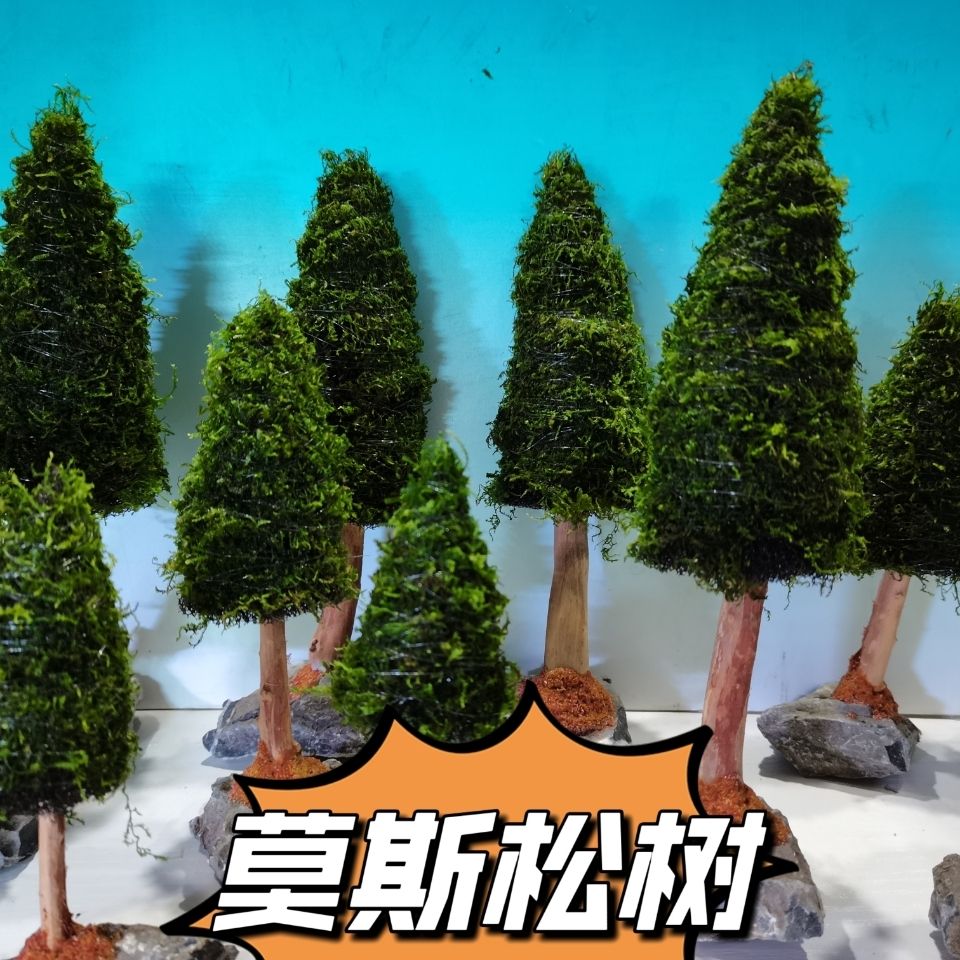 Decorazione dell'acquario pian - Aquarium Planted Seeds recensione e prezzo