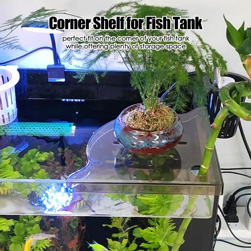 Scaffale angolare per acquario - Aquarium Planted Seeds recensione e prezzo