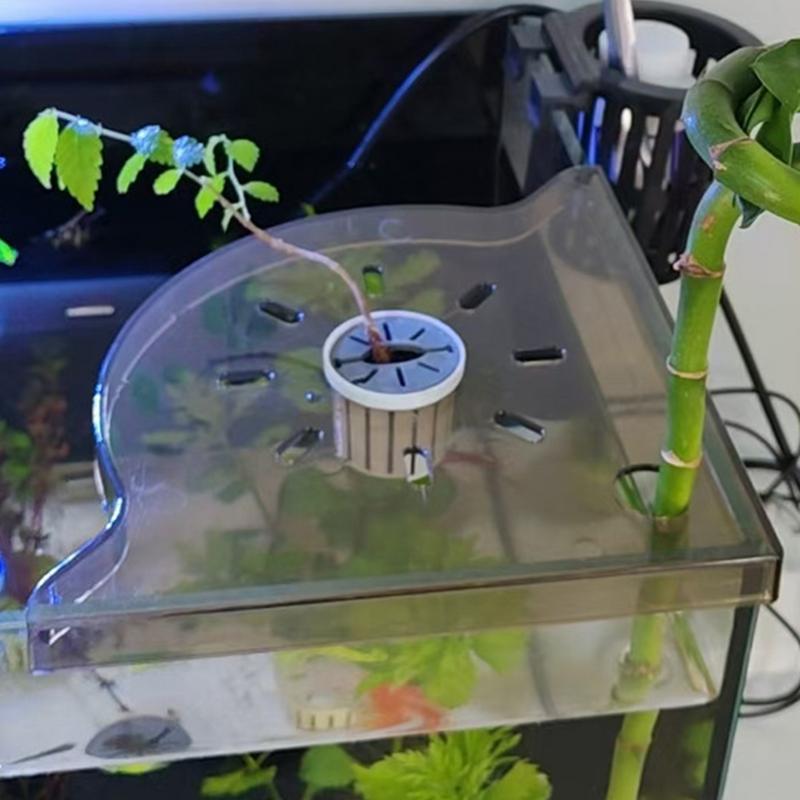 Scaffale angolare per acquario - Aquarium Planted Seeds recensione e prezzo