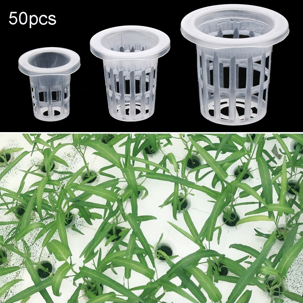 10/50pcs Forniture da giardino - Aquarium Planted Seeds recensione e prezzo