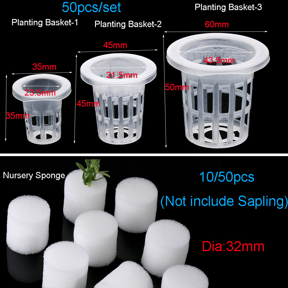 10/50pcs Forniture da giardino - Aquarium Planted Seeds recensione e prezzo